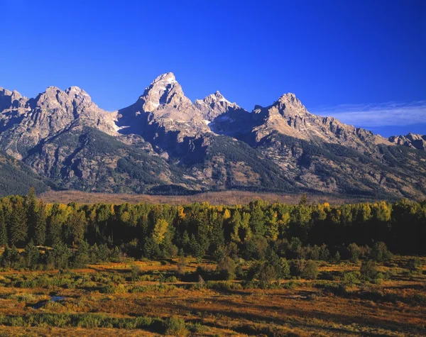 Grand teton spänner, i morgonljuset — Stockfoto