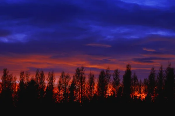 Lever ou coucher de soleil derrière les arbres — Photo