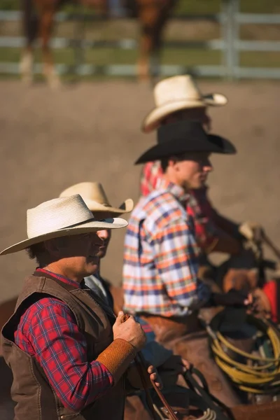 Cowboys Look On — Stock Photo, Image