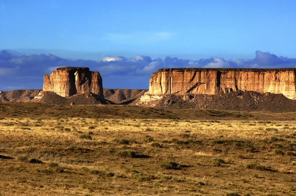 Un paisaje seco —  Fotos de Stock