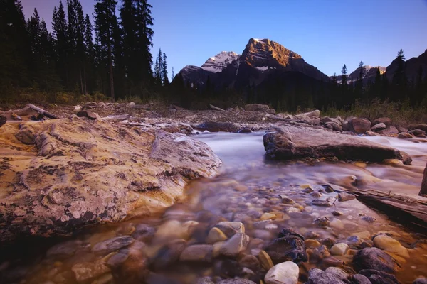 Een stream met bergen op de achtergrond — Stockfoto