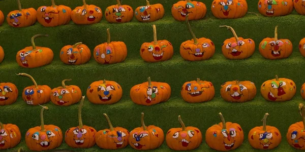 Citrouilles dans une rangée — Photo