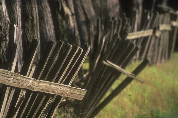 Una antigua cerca de madera que rodea los troncos de los árboles, costa norte de California, EE.UU. . —  Fotos de Stock