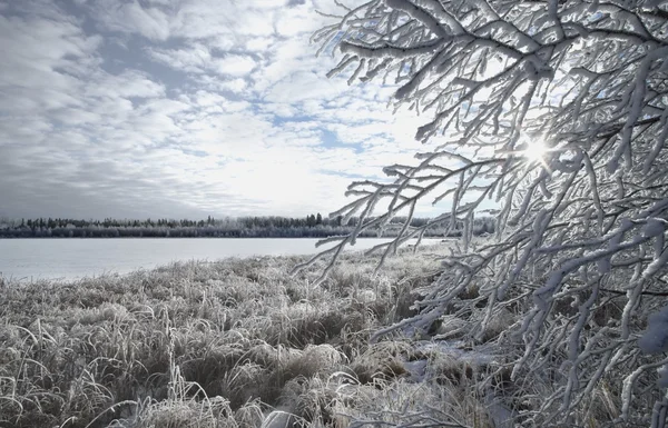 Inverno scenico — Foto Stock