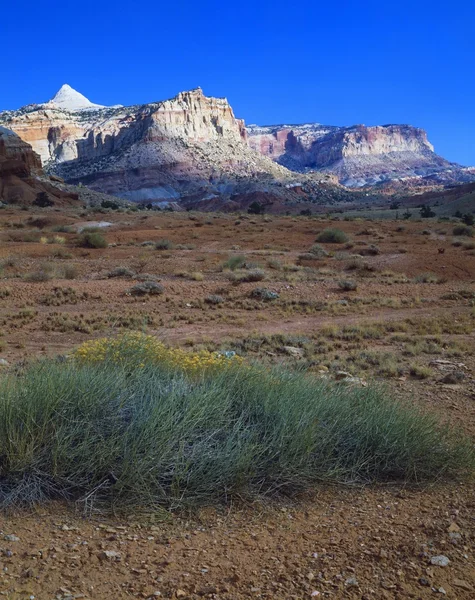 Opustoszałe krotnie waterpocket, park narodowy capitol reef — Zdjęcie stockowe