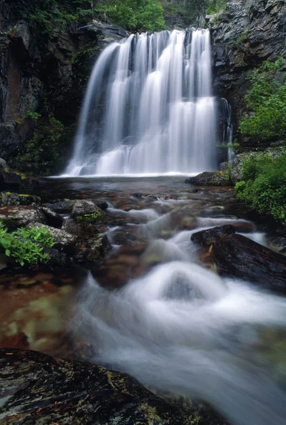 Rockwell falls, národní park glacier — Stock fotografie