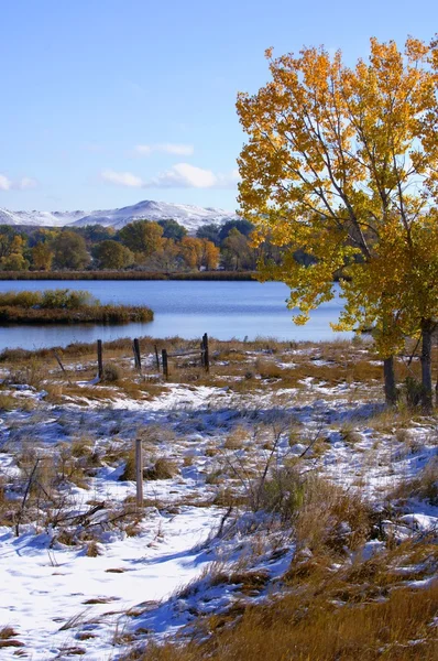 Sněhová pole podzim — Stock fotografie