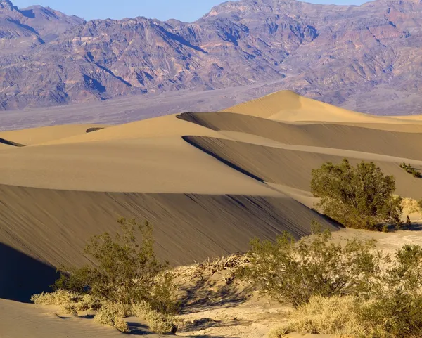 Sand Dunes Through Desert Landscape, Great Sand Dunes National Monument, Colorado, Сша — стоковое фото