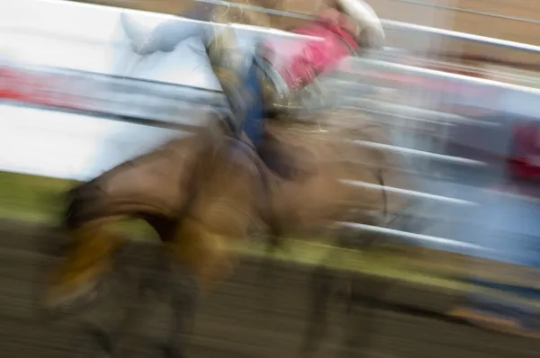 Καουμπόη σε ένα άλογο — Φωτογραφία Αρχείου