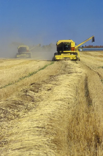 Combines Cutting Crop — Stock Photo, Image