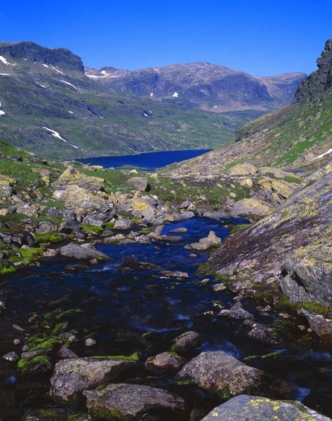 Barren Norwegian Scene With Stream — Stock Photo, Image