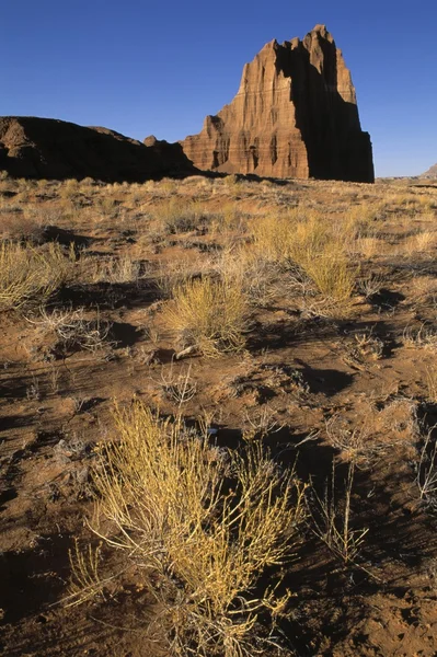 Świątynia słońca formacji piaskowca, Katedra Dolina, utah, Stany Zjednoczone Ameryki — Zdjęcie stockowe