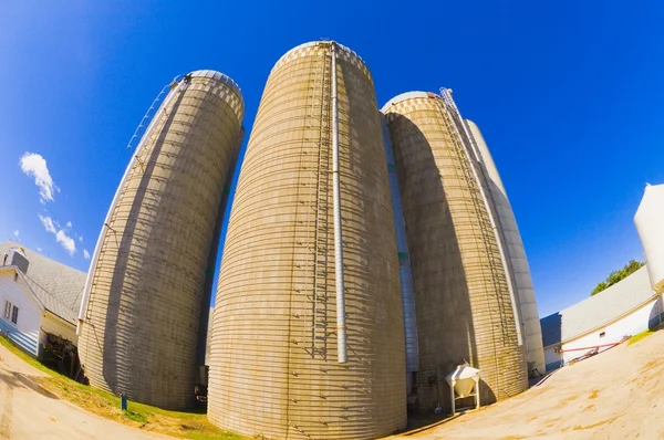 Tahıl siloları — Stok fotoğraf