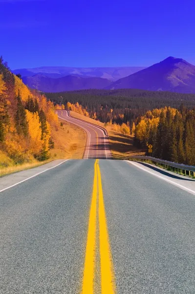 Дорога в стране Кананаскис, Альберта, Канада — стоковое фото