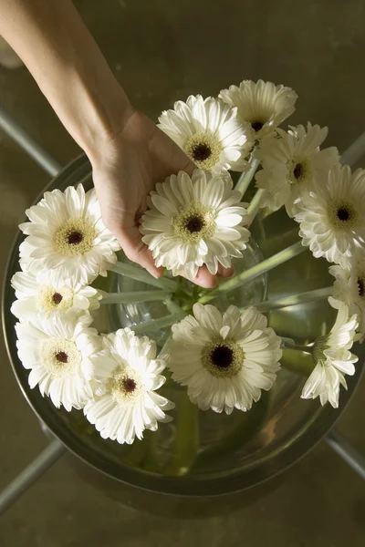 Květiny na stole — Stock fotografie