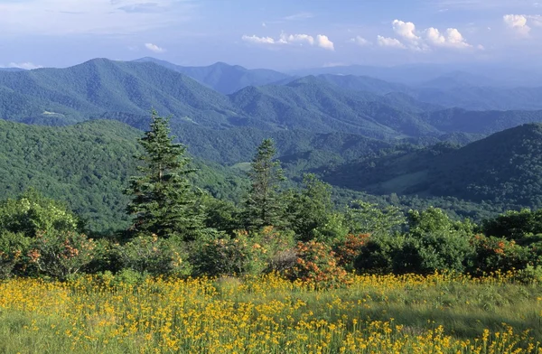 Blue Ridge-hegység Észak-Karolinában — Stock Fotó
