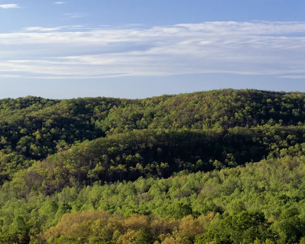 春天树木在大烟山国家公园的山坡上 — 图库照片