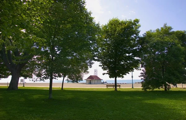 En vy över havet genom träden — Stockfoto