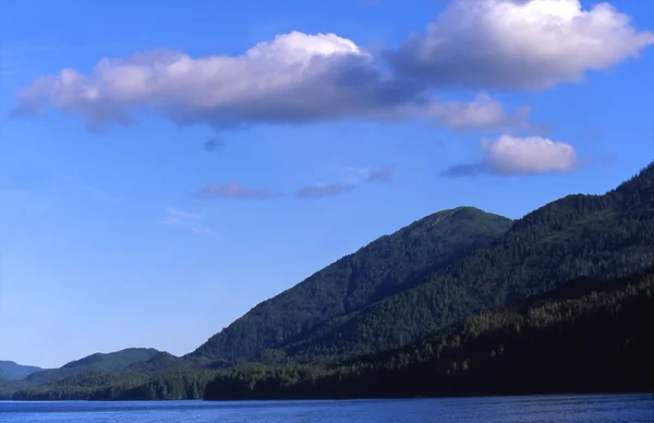 Forests And Lake — Stock Photo, Image