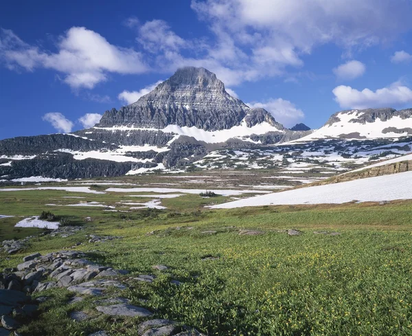 Montaña Reynolds en Montana — Foto de Stock