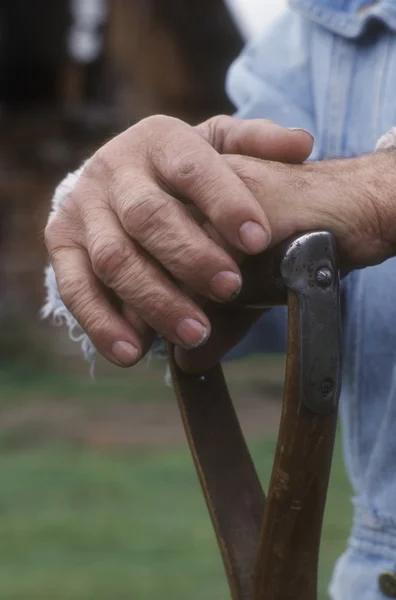 Old Hands Holding A Cane — Stock Photo, Image