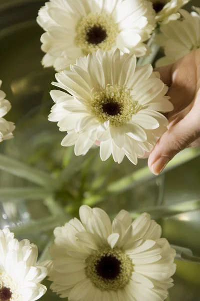 Bloemen op tafel met detail — Stockfoto