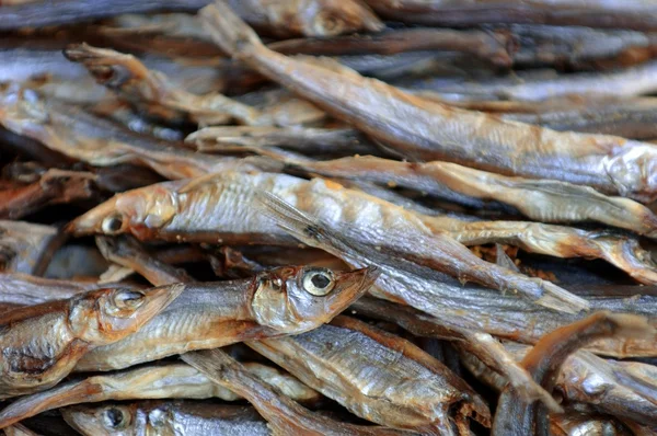 Dried Fish — Stock Photo, Image