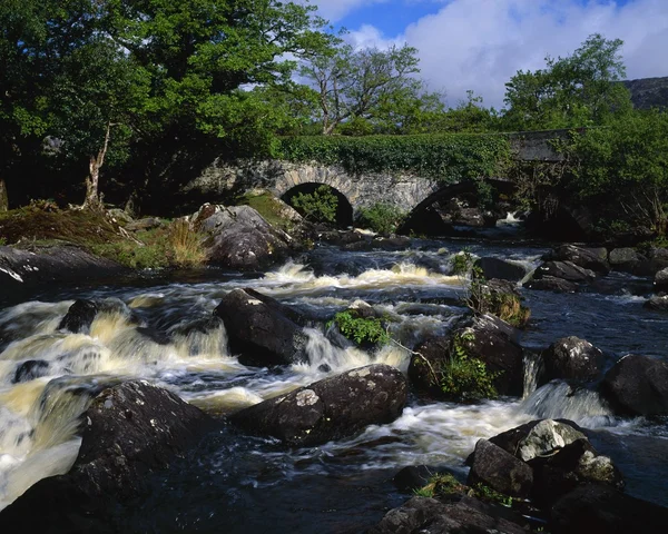 Ponte de pedra velha e córrego apressando, parque nacional de Killarney — Fotografia de Stock