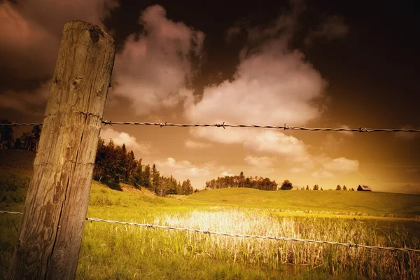 Ostnatým drátem a pole — Stock fotografie