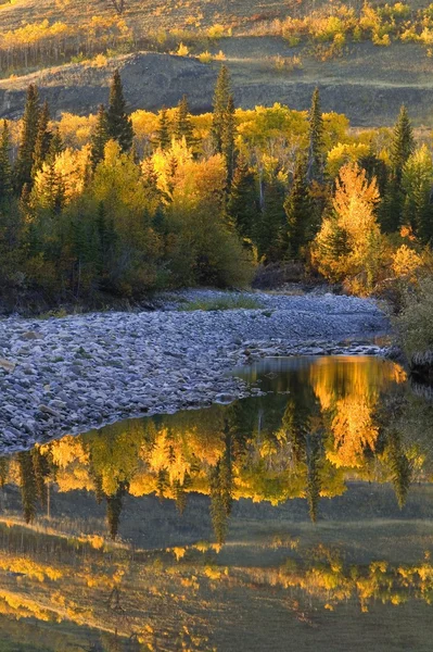 Autumn Reflections — Stock Photo, Image