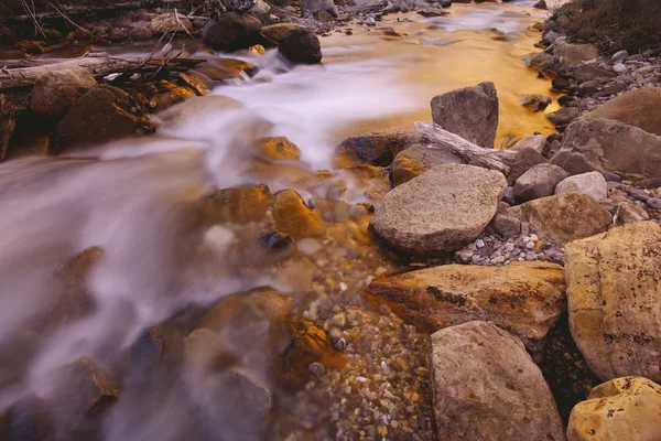 Een close-up van een haasten stream — Stockfoto