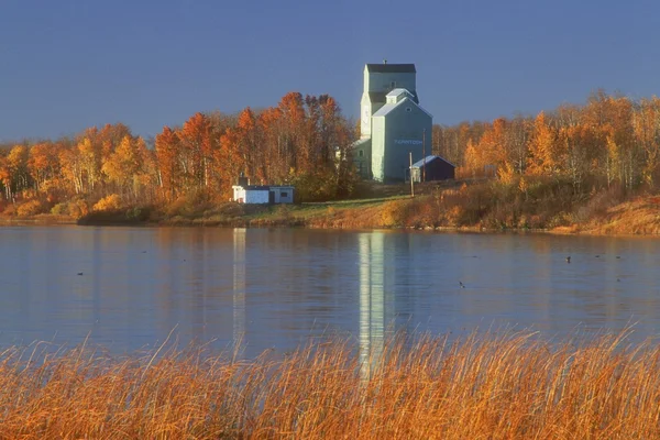 Tahıl Asansör, ferintosh, alberta, Kanada — Stok fotoğraf