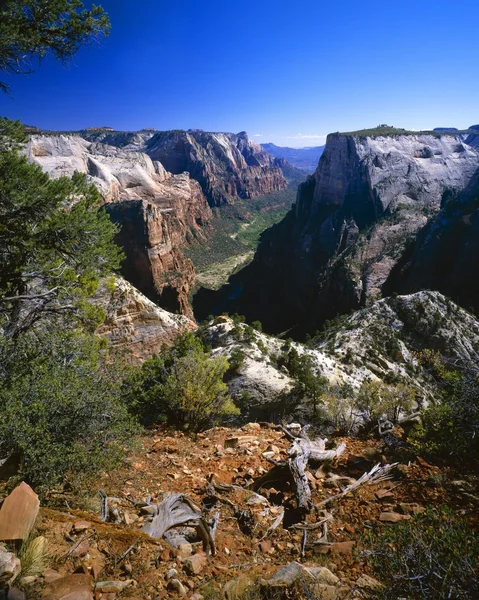 Zion canyon, weergave van east rand, nationaal park zion — Stockfoto