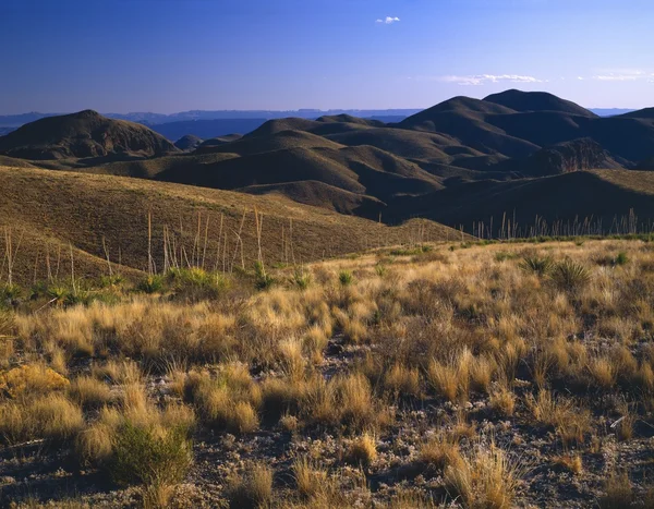 Karge Landschaft, Chisos-Berge, großer Kurven-Nationalpark — Stockfoto