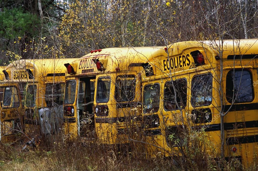 Abandoned School Bus Abandoned School Bus
