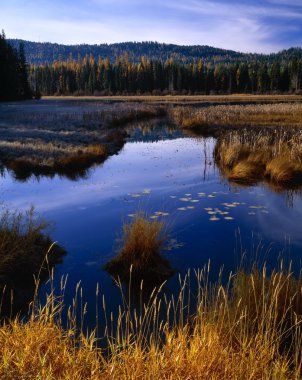 seeley lake, swan valley yakınındaki sulak
