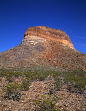 Cerro Csanad butte, big bend Milli Parkı