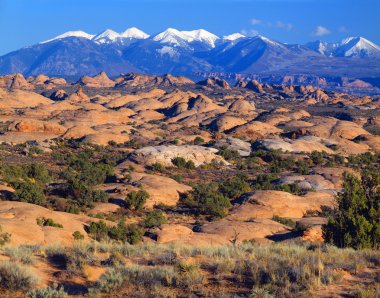 taşlaşmış kum tepeleri, la sal dağlar, arches national park