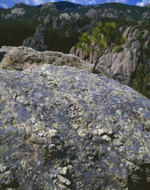 Granit kayalar, siyah national forest hills.