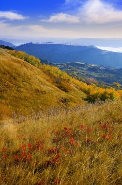 Kuru Adası buffalo eyalet parkı atlamak