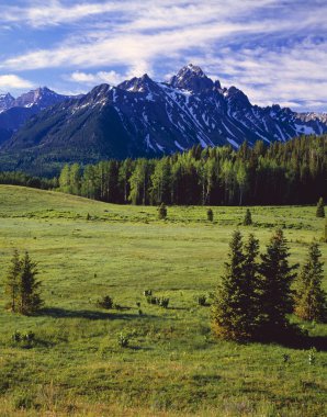 Meadow And Mount Sneffels, Uncompaghre National Forest clipart