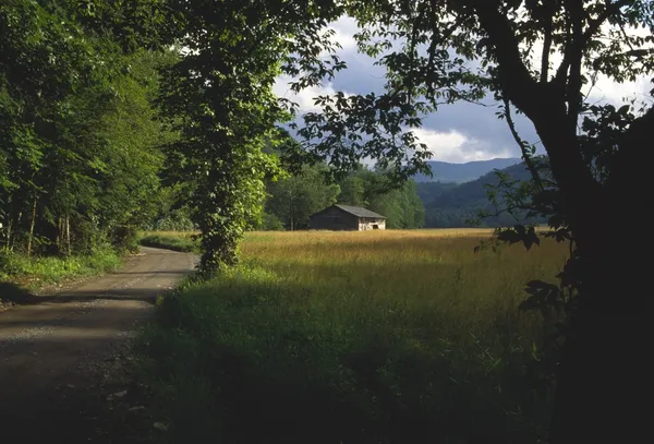 森林的阴影，远处的小木屋，cataloochee 湾，大烟山国家公园 — 图库照片