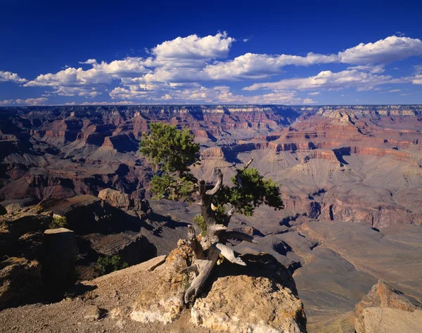 Un canyon scenico — Foto Stock