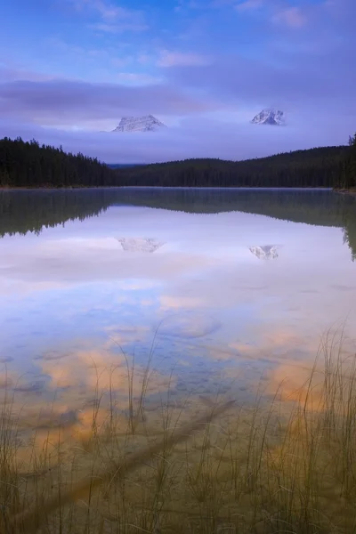 Reflecții ale muntelui Fryatt și vârful Whirlpool de la Leach Lake — Fotografie, imagine de stoc