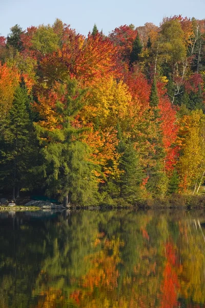 秋の水の体 — ストック写真