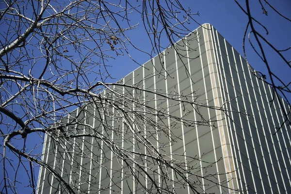 Skyscraper Seen Through Bare Branches — Stock Photo, Image