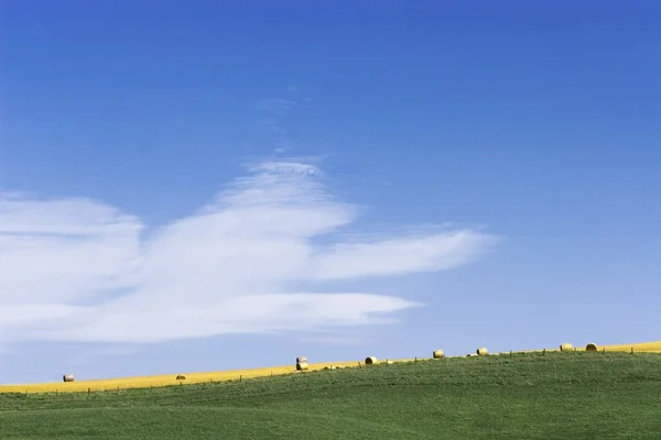 Um campo rolante — Fotografia de Stock