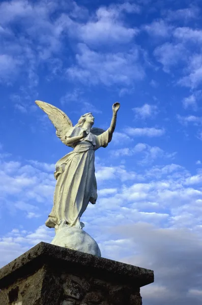 Estátua de um anjo — Fotografia de Stock