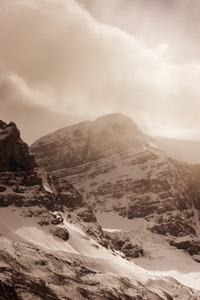 Columbia Ice Fields — Stock Photo, Image