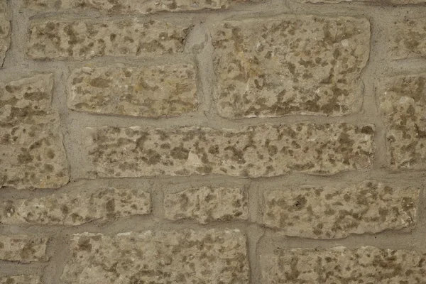 Close Up Of Stone Wall And Moss — Stock Photo, Image